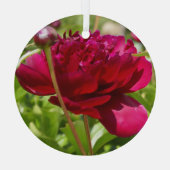 Dark Maroon velvet peonies Glas Ornament (Achterkant)