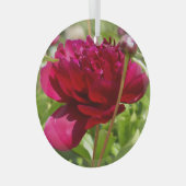 Dark Maroon velvet peonies Glas Ornament (Voorkant Rechts)