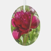 Dark Maroon velvet peonies Glas Ornament (Voorkant links)