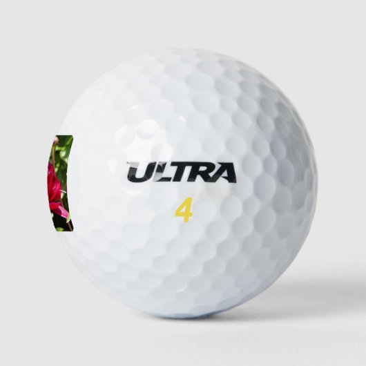 Dark Maroon velvet peonies Golfballen (Logo)