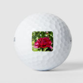 Dark Maroon velvet peonies Golfballen (Voorkant)