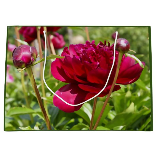 Dark Maroon velvet peonies Groot Cadeauzakje (Voorkant)