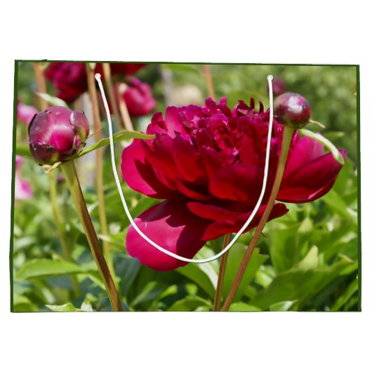 Dark Maroon velvet peonies Groot Cadeauzakje (Achterkant)