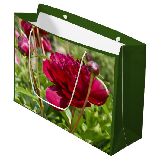 Dark Maroon velvet peonies Groot Cadeauzakje (Voorkant Gekanteld)