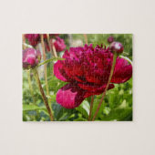 Dark Maroon velvet peonies Legpuzzel (Horizontaal)