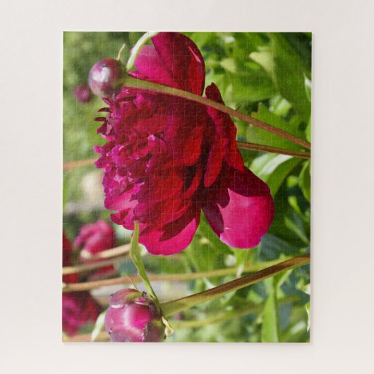 Dark Maroon velvet peonies Legpuzzel (Verticaal)