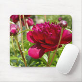 Dark Maroon velvet peonies Muismat (Met muis)