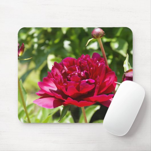 Dark Maroon velvet peonies Muismat (Met muis)