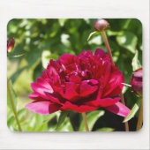 Dark Maroon velvet peonies Muismat (Voorkant)