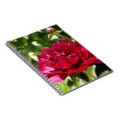 Dark Maroon velvet peonies Notitieboek (Rechterzijde)