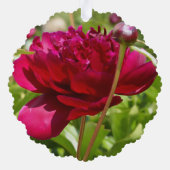 Dark Maroon velvet peonies Ornament Kaart (Achterkant)