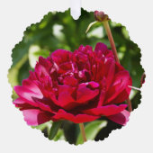 Dark Maroon velvet peonies Ornament Kaart (Voorkant)