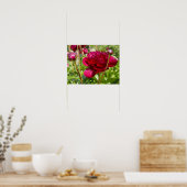 Dark Maroon velvet peonies Poster (Keuken)