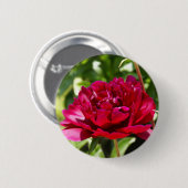 Dark Maroon velvet peonies Ronde Button 5,7 Cm (Voorkant /achterkant)
