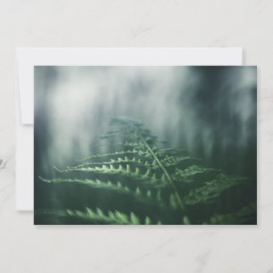 Dark Moody Fern natuur fotokaart