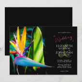 Dark Moody Tropical Floral Bird of Paradise Black Kaart (Voorkant / Achterkant)
