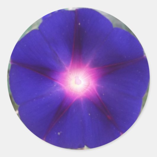 Dark Morning Glory Sticker (Voorkant)