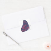 Dark Morpho Starscape Sticker (Envelop)