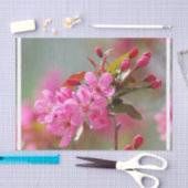 Dark Pink Cherry Blossom Tissuepapier (Craft)