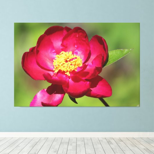 Dark Pink Peony Canvas Afdruk (Insitu (Houten vloer))