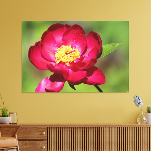 Dark Pink Peony Canvas Afdruk (Insitu (Woonkamer))