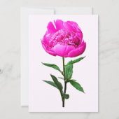 Dark Pink Peony Kaart (Achterkant)