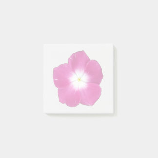 Dark Pink Phlox Sticky Notes
