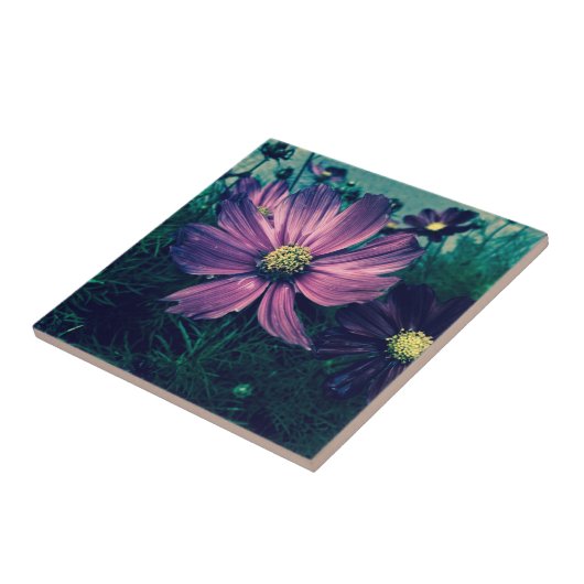 Dark Purple Flowers Photo Art Tegeltje (Zijkant)