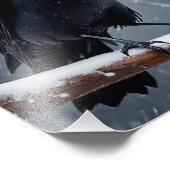 Dark Raven Black Bird Foto Afdruk (Hoek)