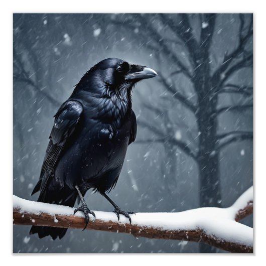 Dark Raven Black Bird Foto Afdruk (Voorkant)