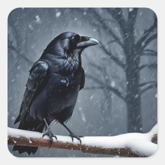 Dark Raven Black Bird Vierkante Sticker (Voorkant)
