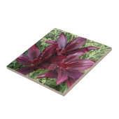 Dark Red Asiatic Lilies Floral Tegeltje (Zijkant)