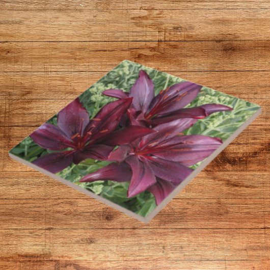 Dark Red Asiatic Lilies Floral Tegeltje