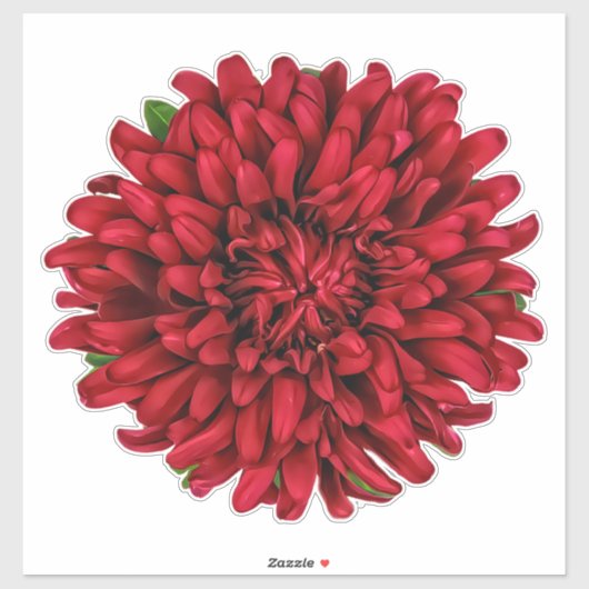 Dark Red Big Dahlia Pinnata Flower Sticker (Vel)