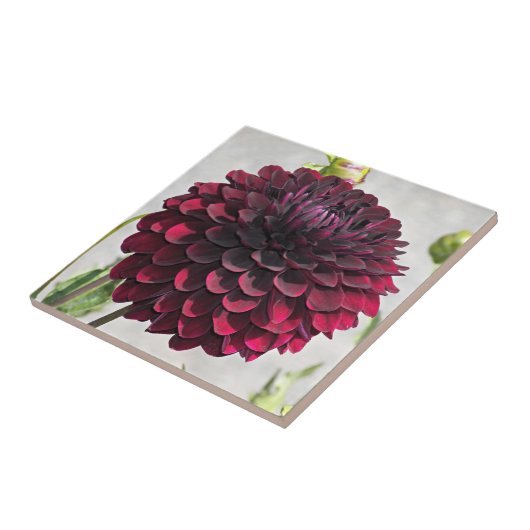 Dark Red Dahlia Bloom Floral Ceramic Tile Tegeltje (Zijkant)