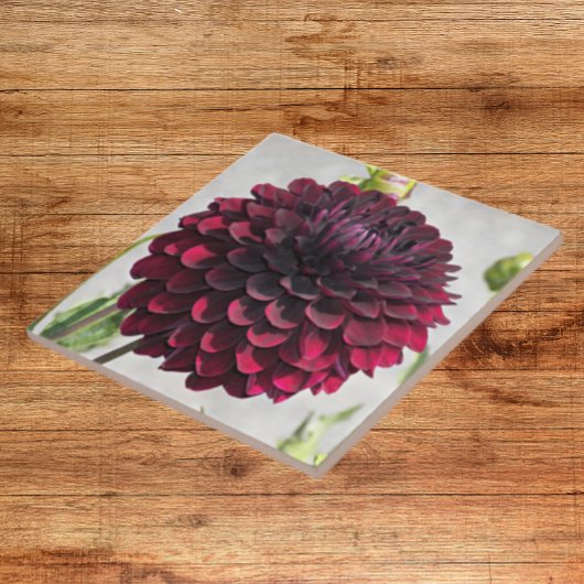 Dark Red Dahlia Bloom Floral Ceramic Tile Tegeltje