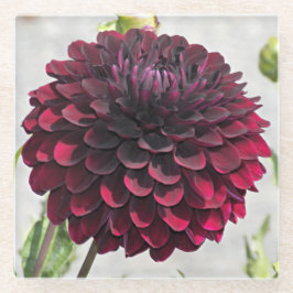 Dark Red Dahlia Bloom Floral Glazen Onderzetter
