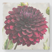 Dark Red Dahlia Bloom Floral Stenen Onderzetter (Voorkant)