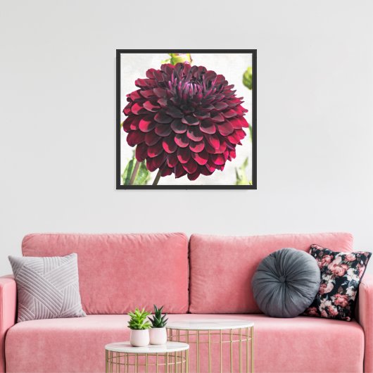 Dark Red Dahlia Bloom Foto Canvas Afdruk (Insitu (Woonkamer))