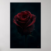 Dark Red Rose Elegante Natuur Fotografie Kunst Poster (Voorkant)