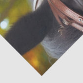 Dark Rider Steampunk Victoriaans Lady Decoupage Tissuepapier (Detail)