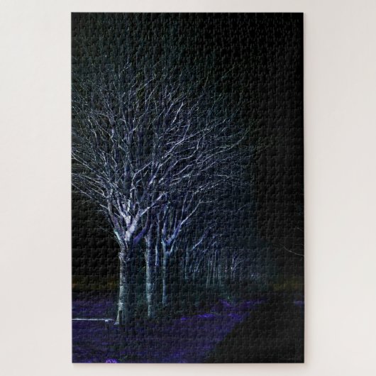 Dark Side 10 20x30 1014pc jpcnm Legpuzzel (Verticaal)