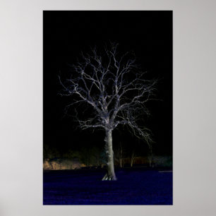 Dark Side 11 wapcna Poster