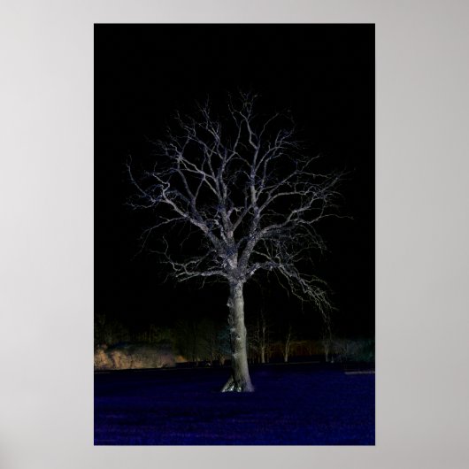 Dark Side 11 wapcna Poster (Voorkant)