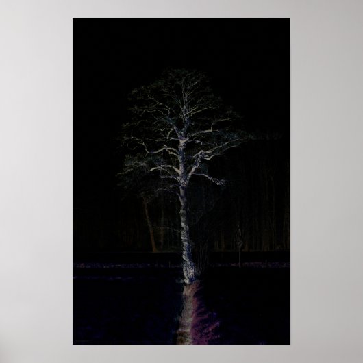 Dark Side 3-wapn Poster (Voorkant)