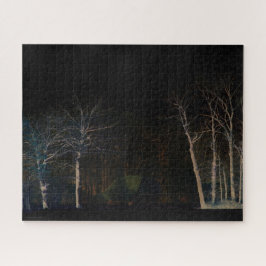 Dark Side 4 16x20 520pc jpa Legpuzzel