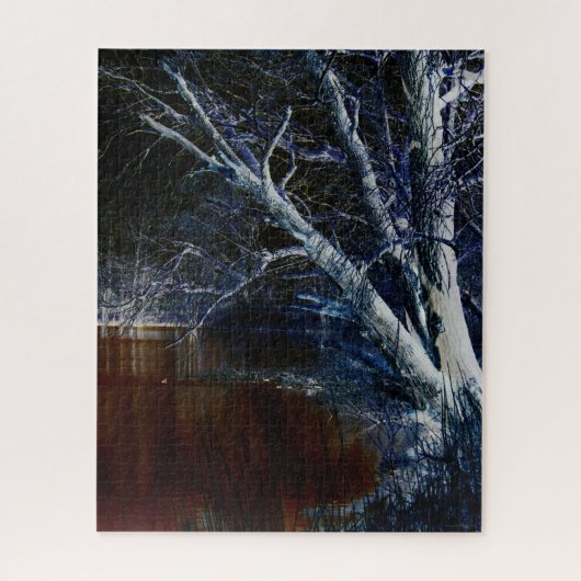 Dark Side 7 16x20 520pc jpcnm Legpuzzel (Verticaal)