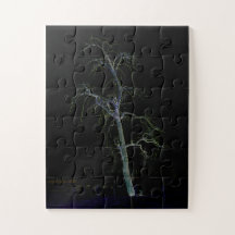 Dark Side 8 11x14 30pc jpcnm