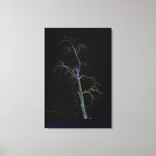 Dark Side 8 24x36 (60x90cm) waccnm Canvas Afdruk (Voorkant)