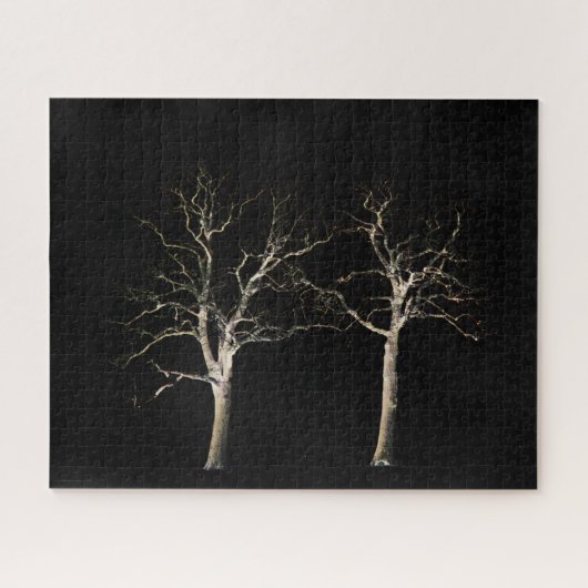 Dark Side 9 16x20 520pc jpcna Legpuzzel (Horizontaal)